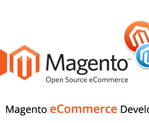 Magento E Commerce Web Development Service